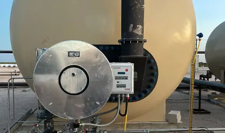Burner Management System